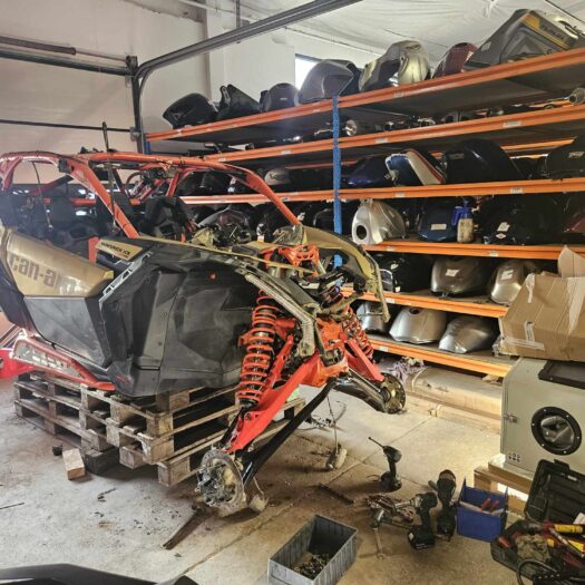 420157104_936121964114034_8134000743176481406_n